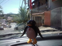 Pinguim Móvel